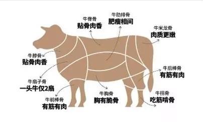 西贝新菜霸气亮相郑州，围观蒙古牛大骨9种吃法！