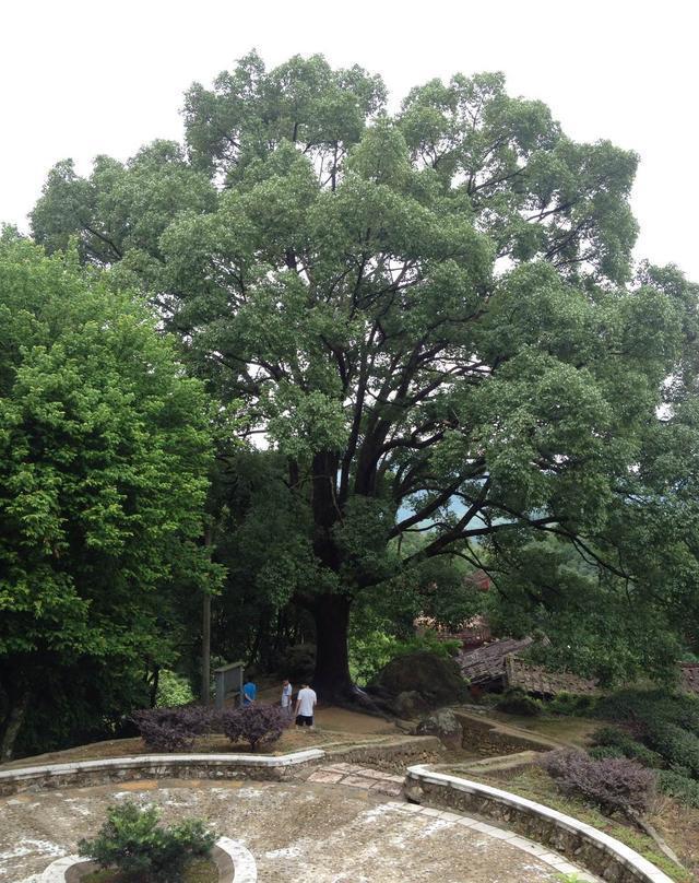 莆田市仙游县龙华镇红旗村旅游景区《仙门寺》