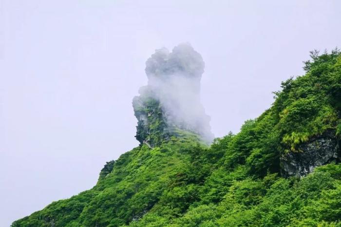 新晋世界遗产梵净山，一座隐藏在贵州深山的“天空之城”