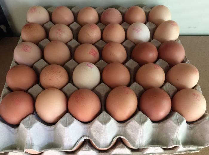 男子在超市偷30个鸡蛋被抓，或面临10年监禁引热议