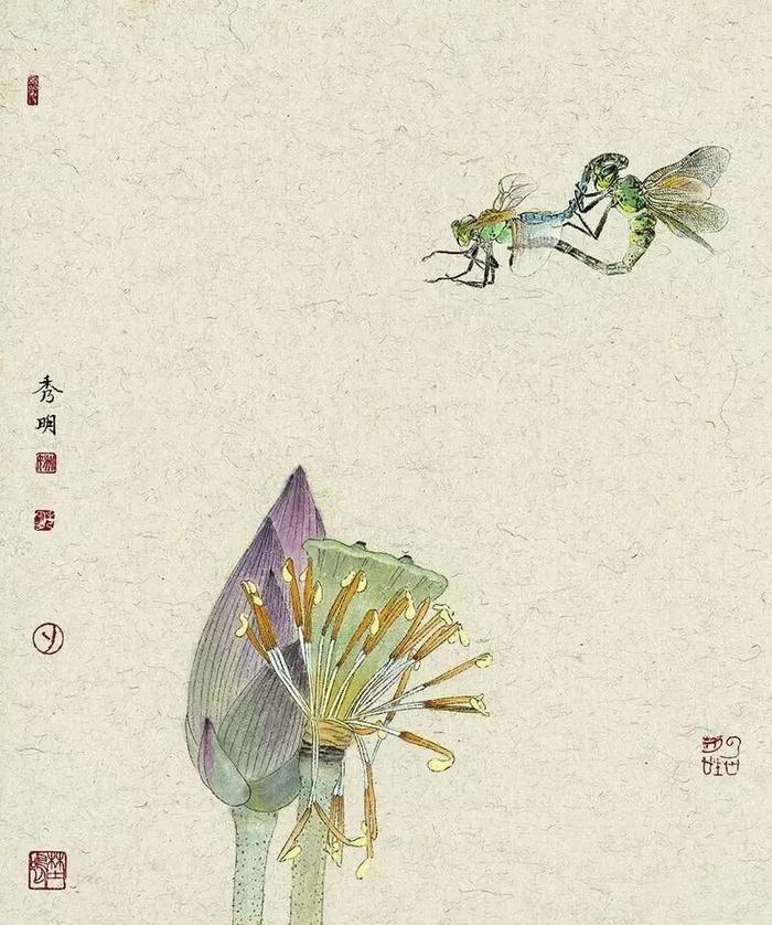 乡间野趣｜姚秀明工笔花鸟画赏析