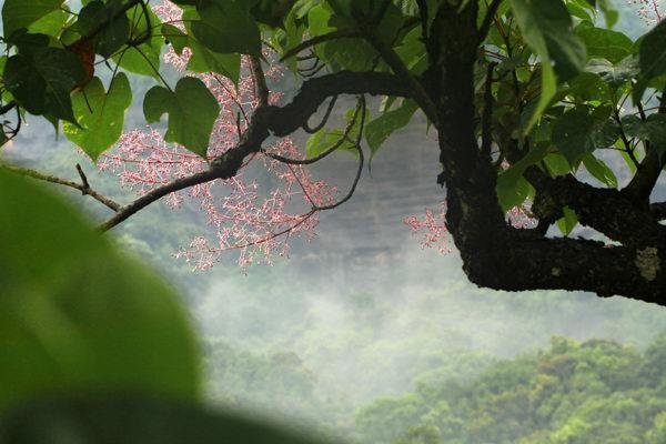 去丹霞山，带着孩子在大自然里撒野！（附亲子游亲测攻略）