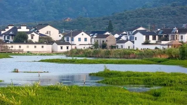 距苏州1.5h，这条跨湖公路私藏了个“小九寨沟”，看完只想去隐居