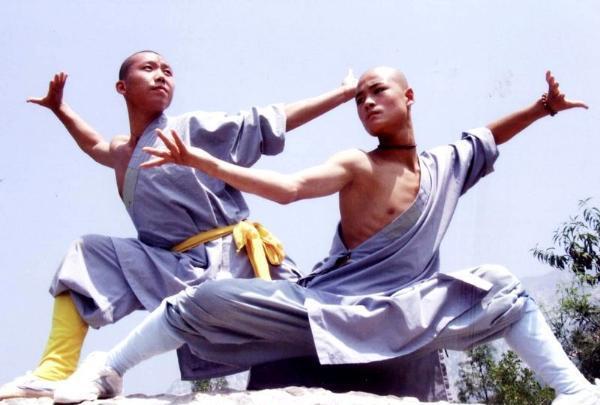中华武术文化之四大拳种