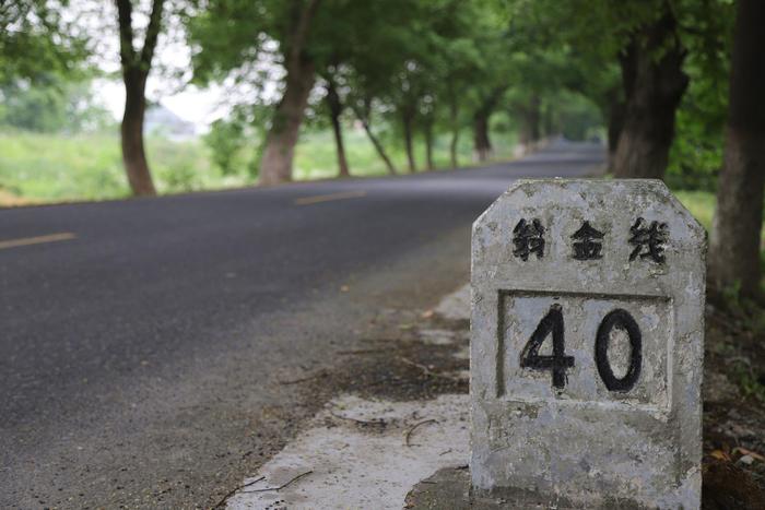 上海至杭州的最美公路，抗日战争时被炸毁，日军投降后被罚修路