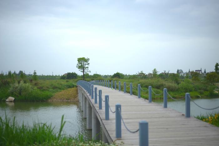 迷人的汉江湿地公园