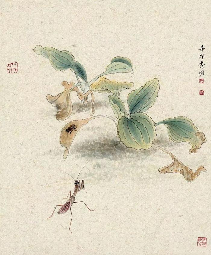 乡间野趣｜姚秀明工笔花鸟画赏析