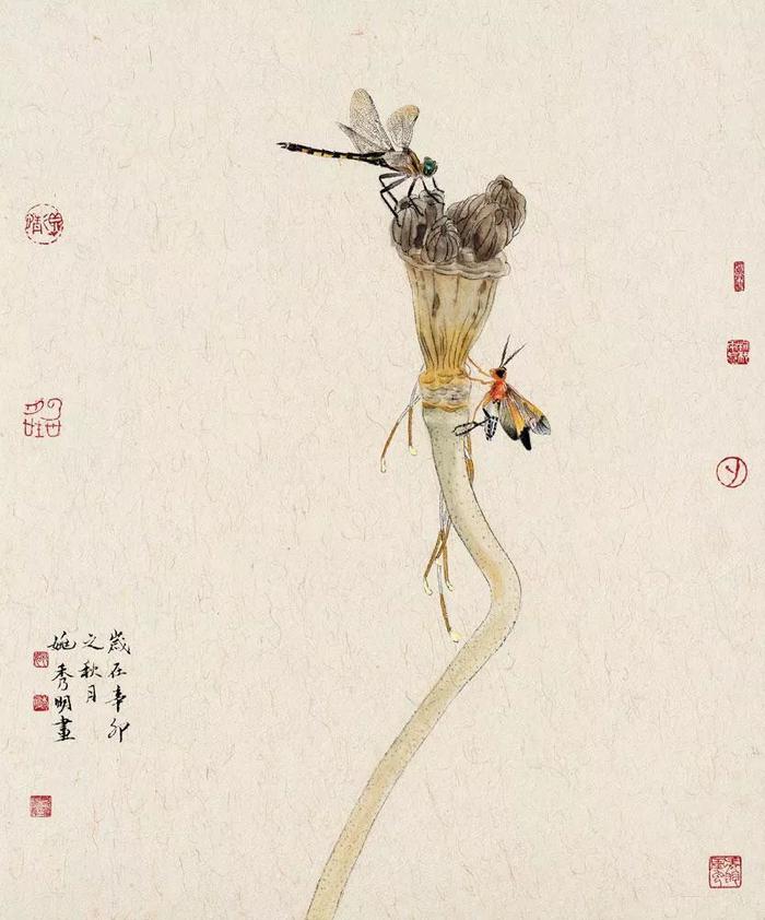 乡间野趣｜姚秀明工笔花鸟画赏析