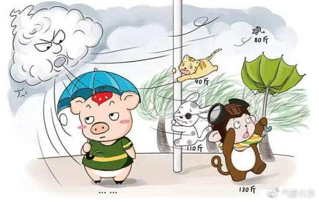 大风天气出行应注意