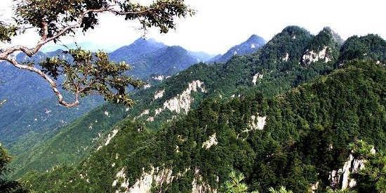 河南的这些地方上榜旅游示范区! 五一假期要遭“蹂躏”