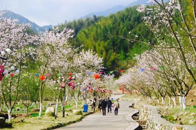 这个周末约起来！栖隐山庄浪漫樱花节唯美登场~