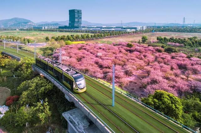 距苏州1.5h，这条跨湖公路私藏了个“小九寨沟”，看完只想去隐居