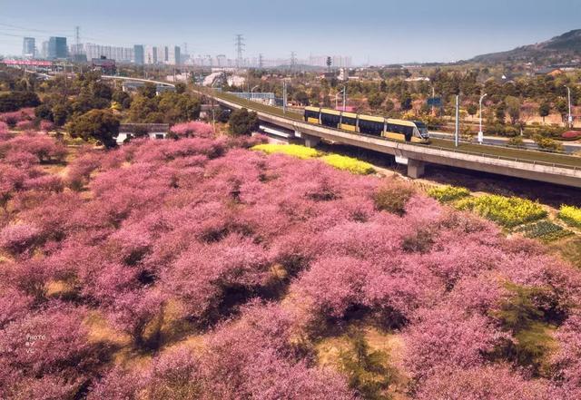 距苏州1.5h，这条跨湖公路私藏了个“小九寨沟”，看完只想去隐居