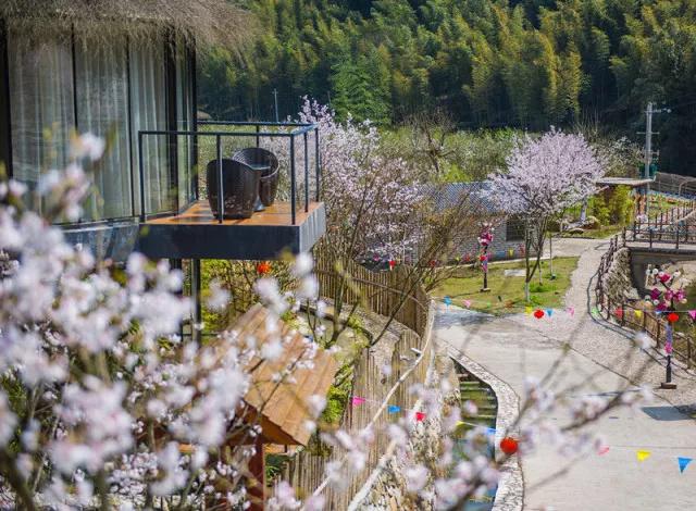 这个周末约起来！栖隐山庄浪漫樱花节唯美登场~