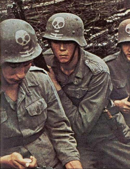二战德军常见的和罕见的头盔盔徽，为什么有的不标志盔徽