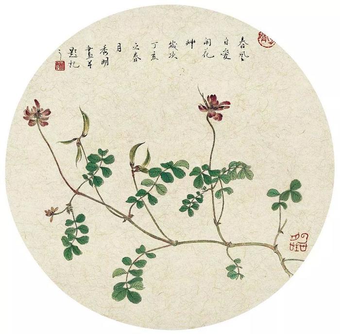 乡间野趣｜姚秀明工笔花鸟画赏析