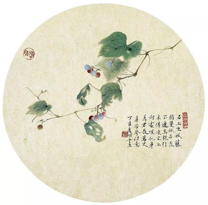 乡间野趣｜姚秀明工笔花鸟画赏析