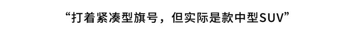 22万起这些豪华SUV将上市！途观昂科威要哭了！