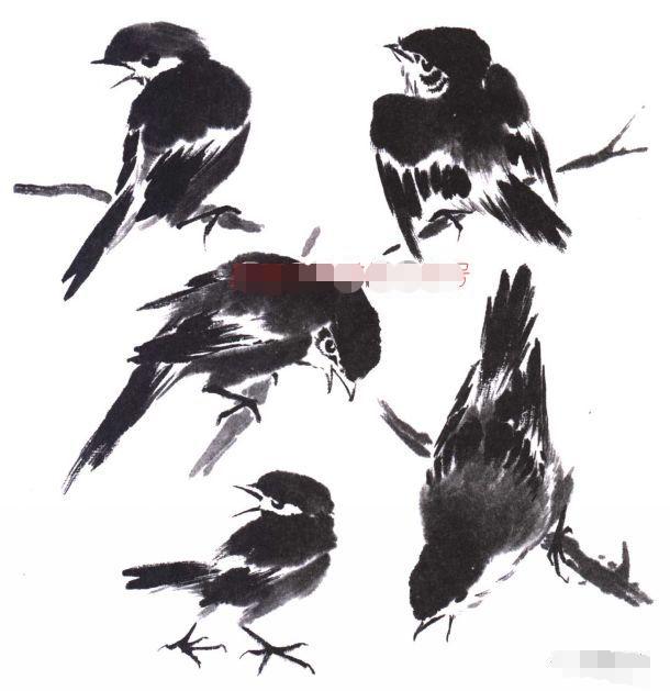 水墨写意花鸟画基本画法图文教程,写意鸟类的画法和步骤详解!