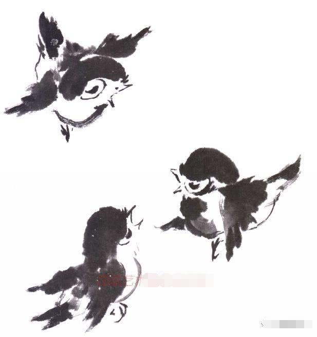 水墨写意花鸟画基本画法图文教程,写意鸟类的画法和步骤详解!