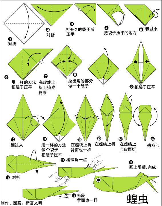 夏季昆虫创意手工大全