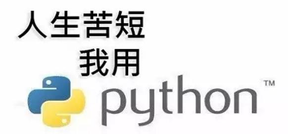 学Python后到底能干什么？