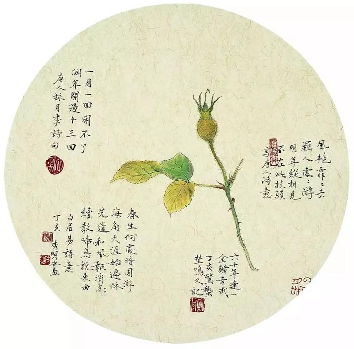 乡间野趣｜姚秀明工笔花鸟画赏析