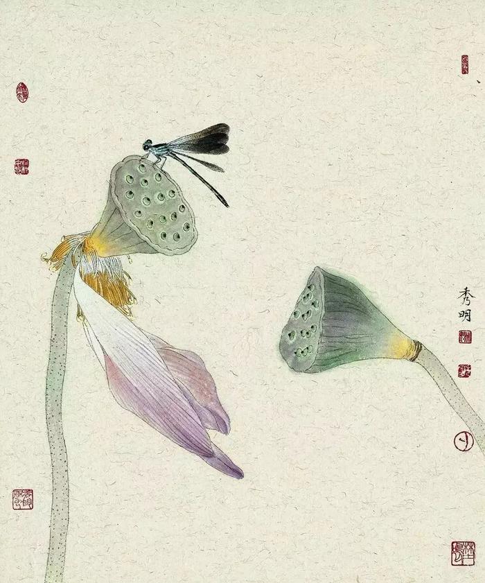 乡间野趣｜姚秀明工笔花鸟画赏析