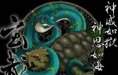 四大神兽青龙白虎朱雀玄武代表了什么?_新浪新闻