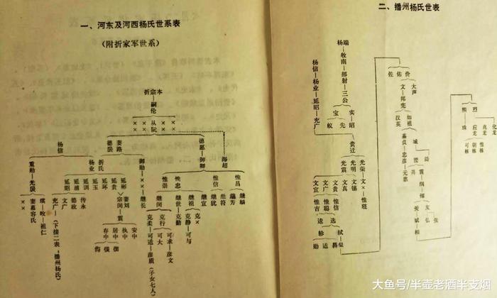 播州杨家世系谱为证: 先抗辽再抗金抗元 最后一代杨家将无奈降元