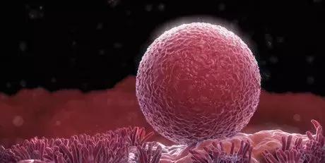 一代、二代、三代人授試管的區(qū)別全在這里!還有第四代試管技術(shù)!