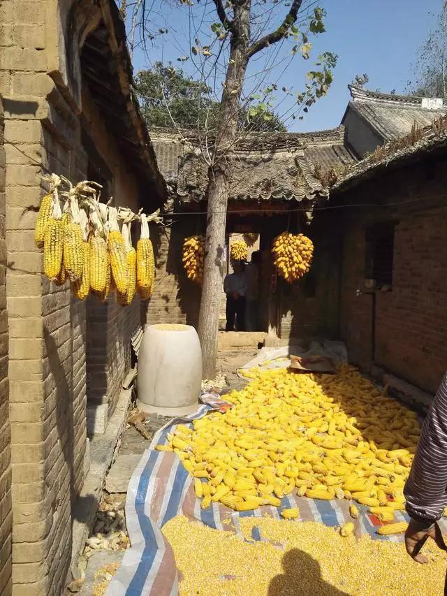 周天子葬身河南，为防盗墓建神秘八卦村