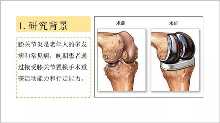 ppt图片排版：如何让对比图更直观明了