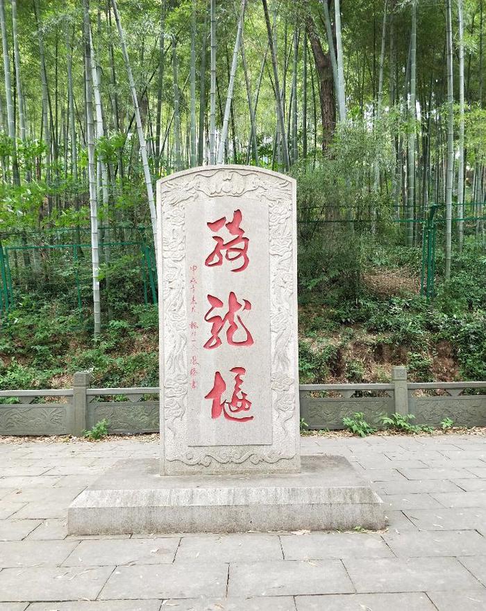 素有“大上海后花园”之称的佘山国家级森林公园