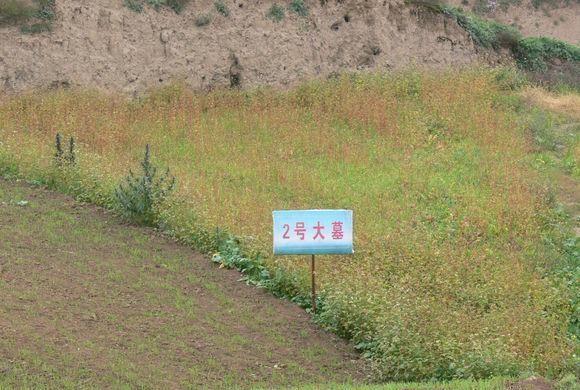 先秦“西陲陵园”——礼县大堡子山，千古遗恨