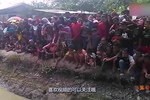 村口开来几台拖拉机,全村人都出来围观,怎么回事