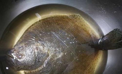 清蒸多宝鱼，只需要记住三个步骤，蒸出来不腥不碎，鱼肉鲜嫩！