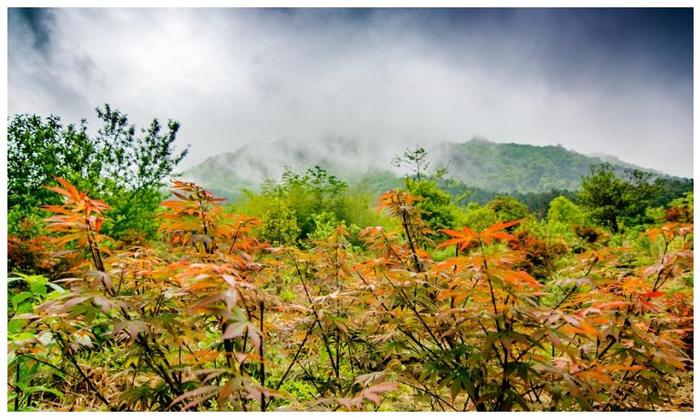 广东最惊险的登山道就在这里，近90度天梯让人望而生畏