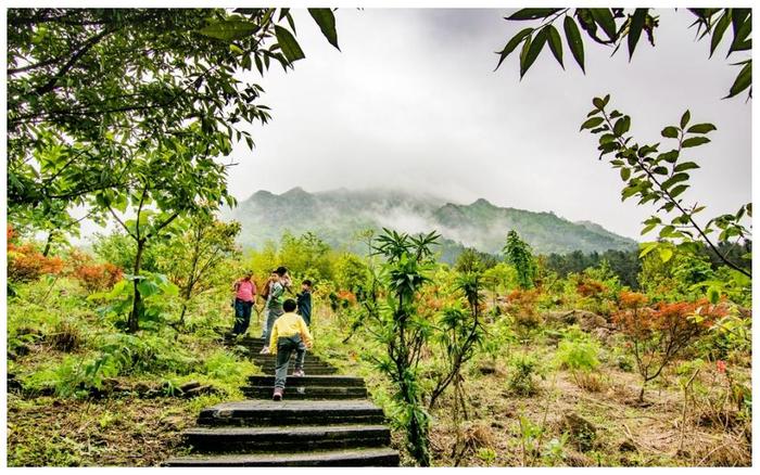 广东最惊险的登山道就在这里，近90度天梯让人望而生畏