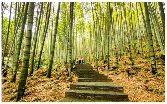 广东最惊险的登山道就在这里，近90度天梯让人望而生畏