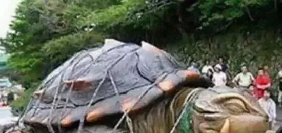 1965年黄河巨龟事件真相揭秘，村民吃了后肠穿肚烂上吊而死