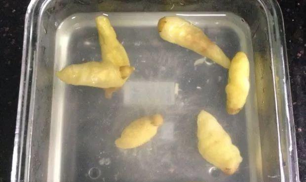 泡笋记忆里最简单的味道泡竹笋的做法