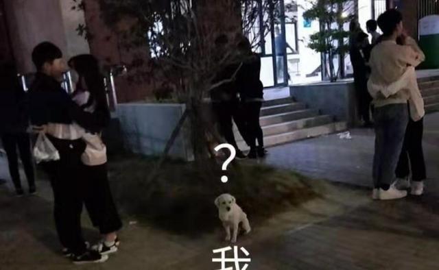 女生宿舍楼下的男朋友：是爱吗？是责任吗？不，是活该