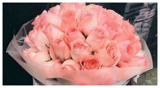 喜欢玫瑰，不如养盆“高档玫瑰”戴安娜，花开粉嫩可爱，香味迷人