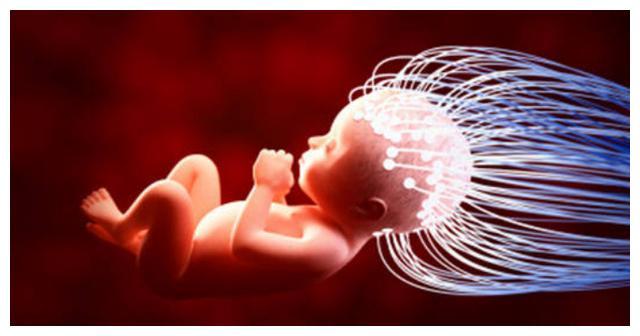 孕晚期是胎儿期大脑发育高峰期，孕妈秉承三原则，可为胎儿补脑