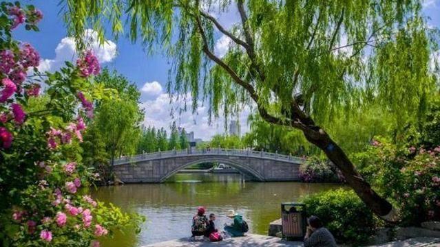 一场春雨，让济南大明湖变得愈加通透明亮娇艳