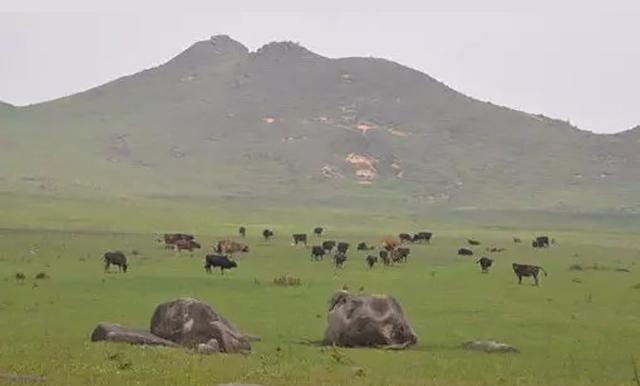 广西贺州金鸡坪 罕见的高山草原