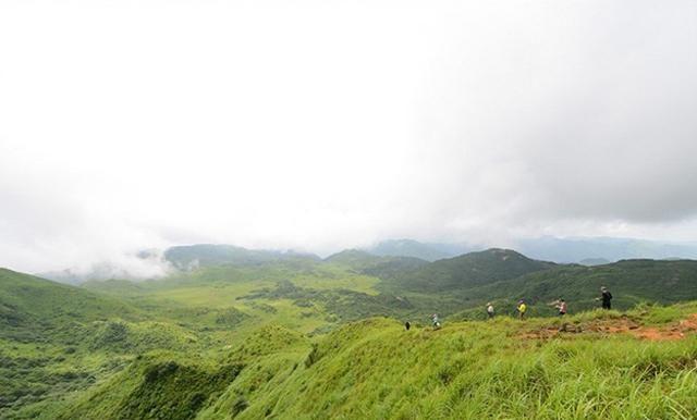 广西贺州金鸡坪 罕见的高山草原