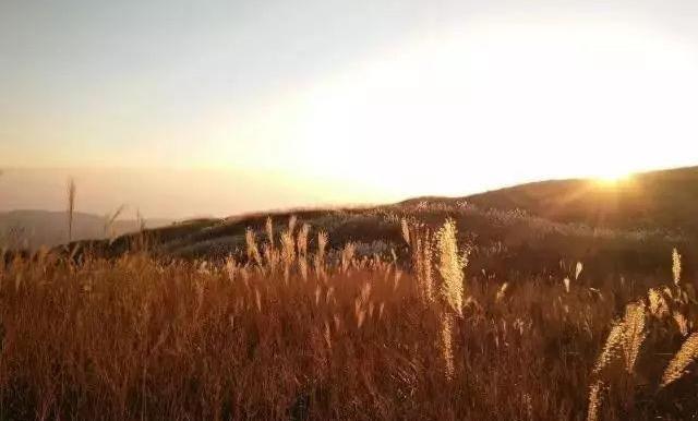 广西贺州金鸡坪 罕见的高山草原