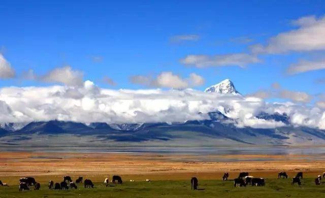 去西藏旅游，一年四季应该穿什么衣服？